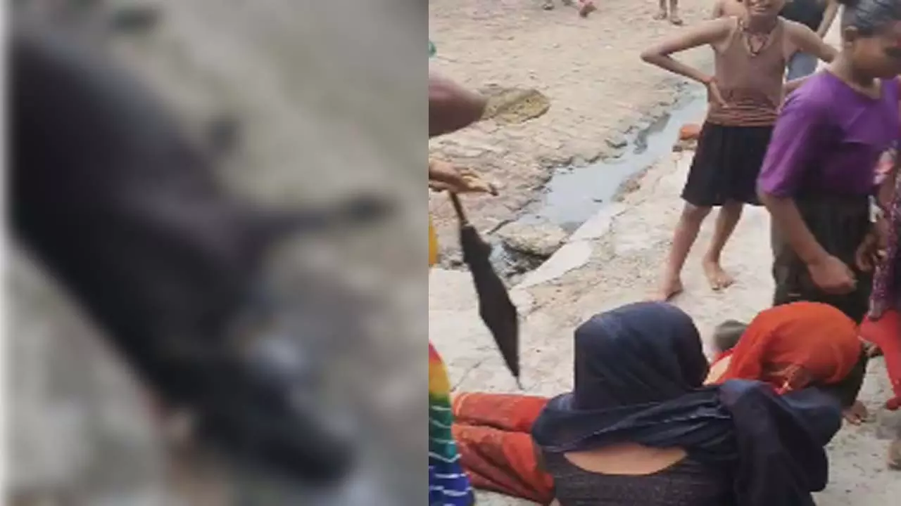 Pregnant cow killed by north current in power pole, villagers angry