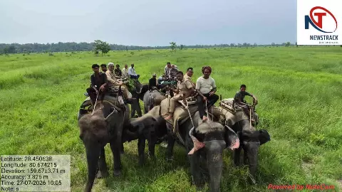 Lakhimpur News: ग्लोबल टाइगर डे पर दुधवा में विशेष अभियान, 11 हजार किमी क्षेत्र में हुई पेट्रोलिंग