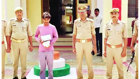 Brother killed Brother For money