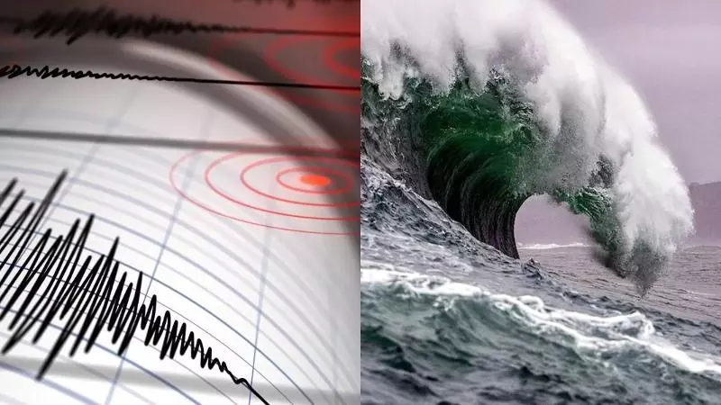Japan Earthquake