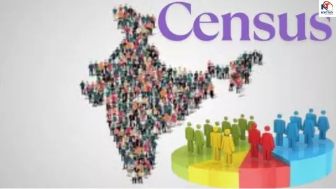 Census