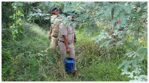 Raebareli News:  अवैध शराब पर आबकारी विभाग का शिकंजा, 40 लीटर शराब बरामद