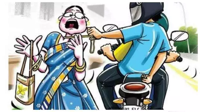 Shamli News: मंदिर से लौट रही महिला पर हमला, कुंडल और चेन छीनने का प्रयास सीसीटीवी में कैद