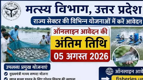 Earn from fish farming, start applying for fisheries schemes