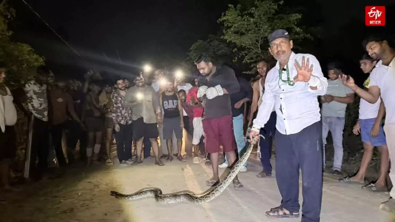 Kanwar Yatra 2026: 10-Foot Python Sparks Panic on Kanwar Route, Constable Rescues Devotees