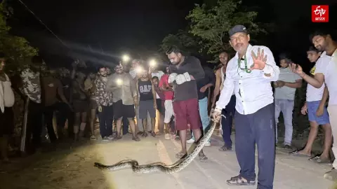 Kanwar Yatra 2026: 10-Foot Python Sparks Panic on Kanwar Route, Constable Rescues Devotees