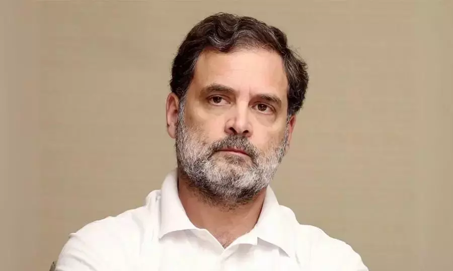 Rahul Gandhi Disproportionate Assets Case Rahul Gandhi Disproportionate Assets Case