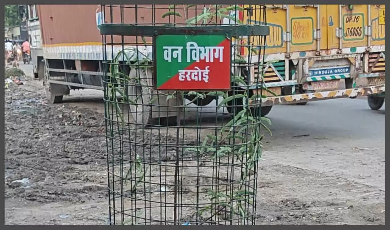 102 Imli plants planted from Railwayganj to Sandi Chungi 102 Imli plants planted from Railwayganj to Sandi Chungi