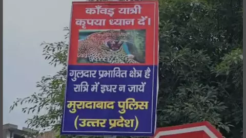 Tendue fear persists, 13 cages set up to catch, alert on Kanwar Marg