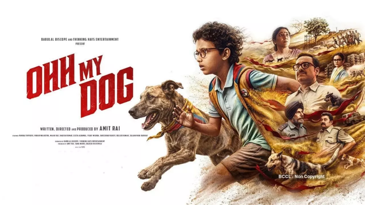 Ohh My Dog Day 2 Collection: पंकज त्रिपाठी की ओह माय डॉग बॉक्स ऑफिस पर हिट या फ्लॉप? जानें कलेक्शन Ohh My Dog Day 2 Collection: पंकज त्रिपाठी की ओह माय डॉग बॉक्स ऑफिस पर हिट या फ्लॉप? जानें कलेक्शन