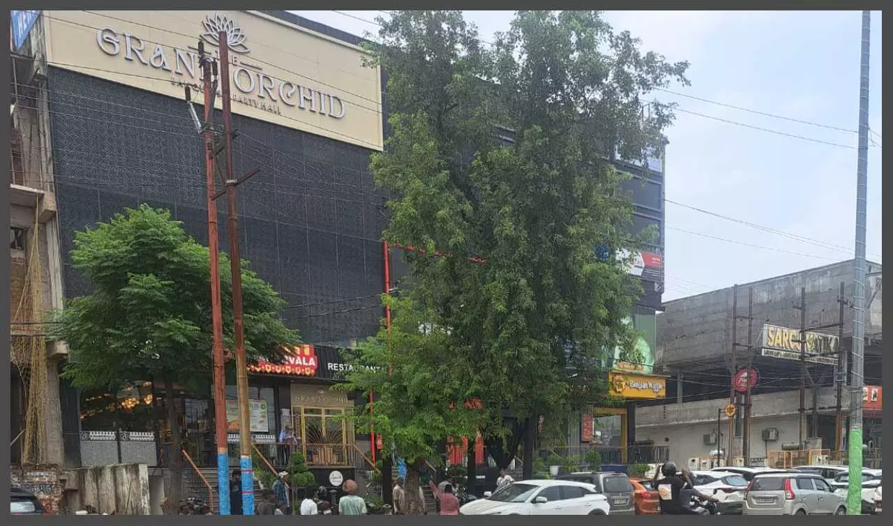 Two dry trees allowed in Hapur, earthquake in department from cutting of four trees Two dry trees allowed in Hapur, earthquake in department from cutting of four trees
