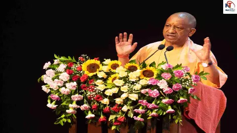 Yogi Government Yogi Government