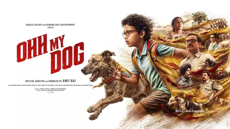 Ohh My Dog Day 2 Collection: पंकज त्रिपाठी की ओह माय डॉग बॉक्स ऑफिस पर हिट या फ्लॉप? जानें कलेक्शन Ohh My Dog Day 2 Collection: पंकज त्रिपाठी की ओह माय डॉग बॉक्स ऑफिस पर हिट या फ्लॉप? जानें कलेक्शन
