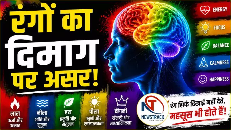 Colors Effect on Brain and Body