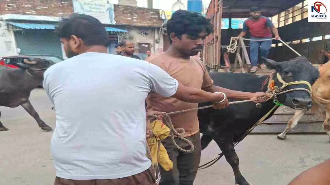 Lucknow Municipal Corporation Lucknow Municipal Corporation