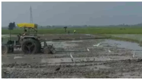 Chandauli News: खलिहान की जमीन पर कब्जे का आरोप, ट्रैक्टर से जुताई का वीडियो वायरल Chandauli News: खलिहान की जमीन पर कब्जे का आरोप, ट्रैक्टर से जुताई का वीडियो वायरल