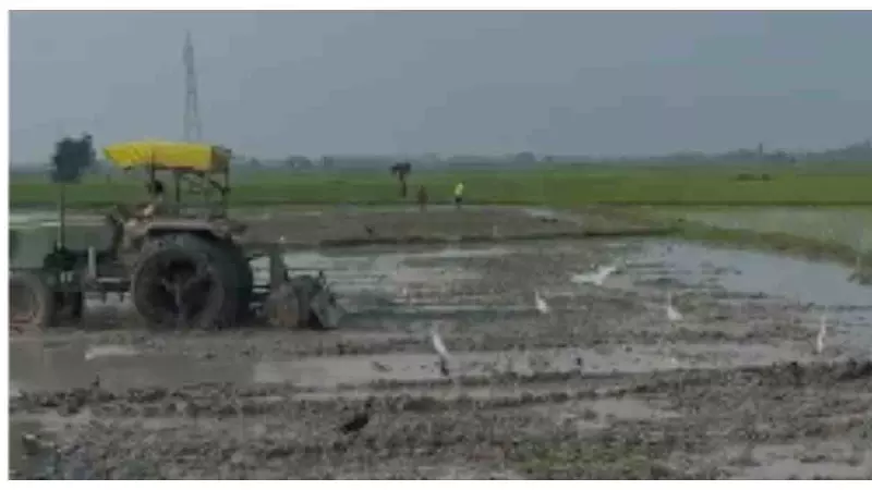 Chandauli News: खलिहान की जमीन पर कब्जे का आरोप, ट्रैक्टर से जुताई का वीडियो वायरल Chandauli News: खलिहान की जमीन पर कब्जे का आरोप, ट्रैक्टर से जुताई का वीडियो वायरल