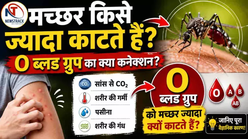 Machar Kise Jyada Katte Hai Machar Kise Jyada Katte Hai