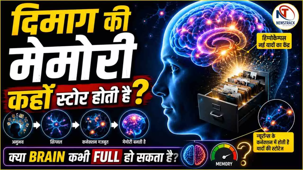 Human Brain Memory Explained Human Brain Memory Explained