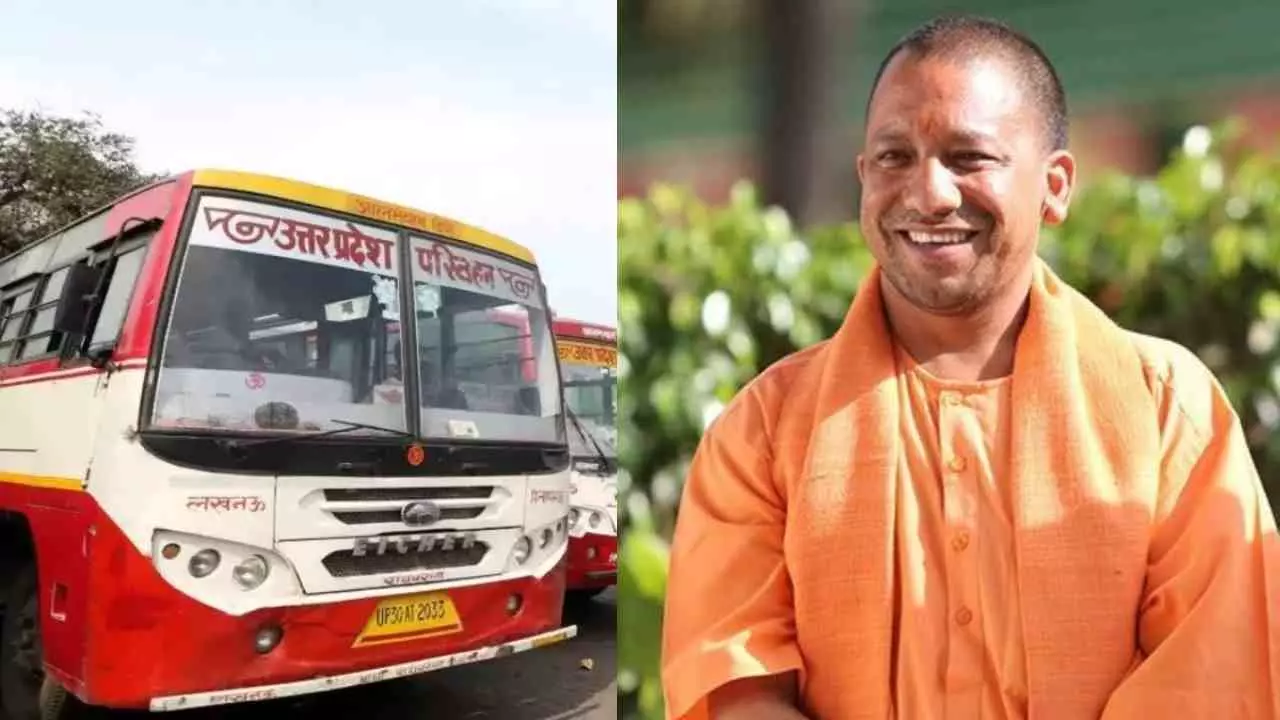 Yogi Government