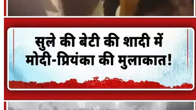 Short Video: सुले की बेटी की शादी में मोदी प्रियंका की मुलाकात! Short Video: सुले की बेटी की शादी में मोदी प्रियंका की मुलाकात!