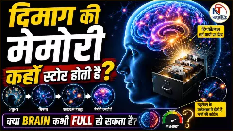Human Brain Memory Explained Human Brain Memory Explained