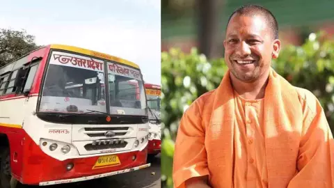 Yogi Government Yogi Government