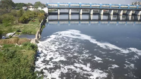 Gomti River Pollution