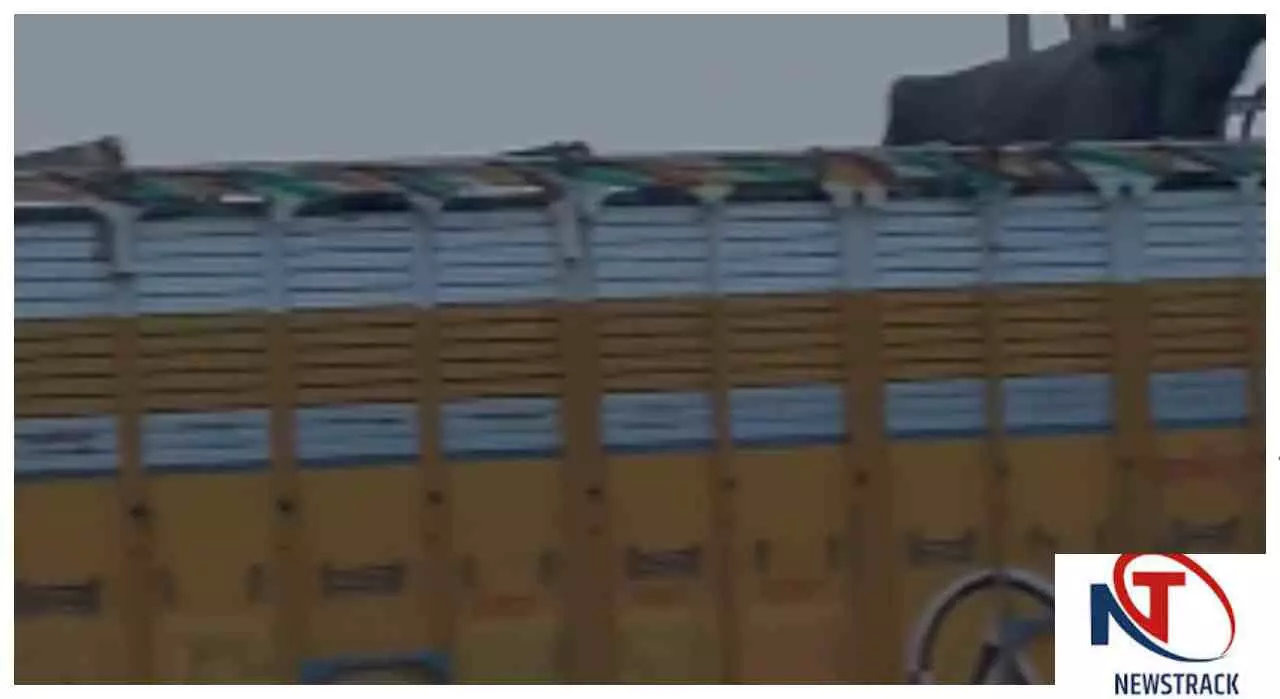 Mathura News: ट्रक में भैंसों को ठूंसकर ले जा रहे थे, VIDEO वायरल; यमुना एक्सप्रेसवे पर मचा हड़कंप Mathura News: ट्रक में भैंसों को ठूंसकर ले जा रहे थे, VIDEO वायरल; यमुना एक्सप्रेसवे पर मचा हड़कंप