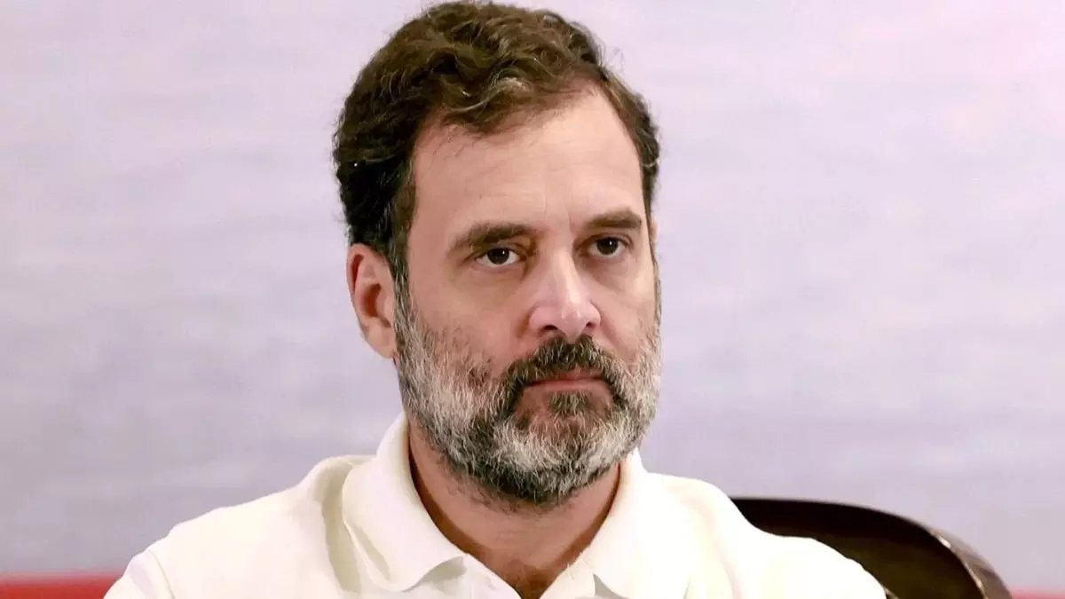 Rahul Gandhi Disproportionate Assets Case Rahul Gandhi Disproportionate Assets Case