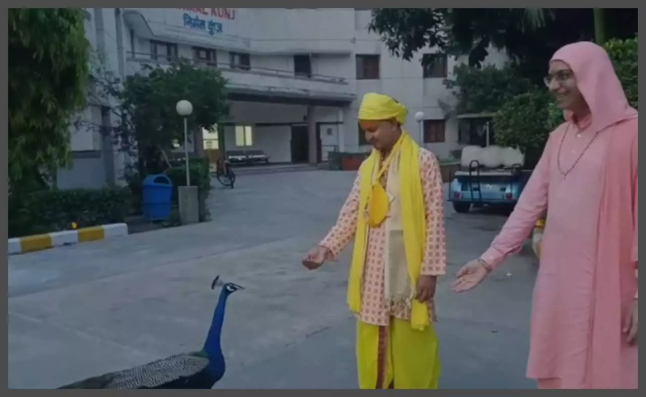 Mathura News: 84 वैष्णवों की वार्ता पर बनी फिल्म भक्तों के लिए बनी प्रेरणादायी कृति Mathura News: 84 वैष्णवों की वार्ता पर बनी फिल्म भक्तों के लिए बनी प्रेरणादायी कृति