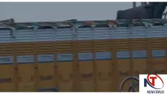 Mathura News: ट्रक में भैंसों को ठूंसकर ले जा रहे थे, VIDEO वायरल; यमुना एक्सप्रेसवे पर मचा हड़कंप Mathura News: ट्रक में भैंसों को ठूंसकर ले जा रहे थे, VIDEO वायरल; यमुना एक्सप्रेसवे पर मचा हड़कंप