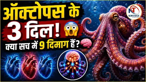 Octopus Facts in Hindi