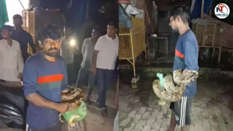 Barabanki Python Rescue