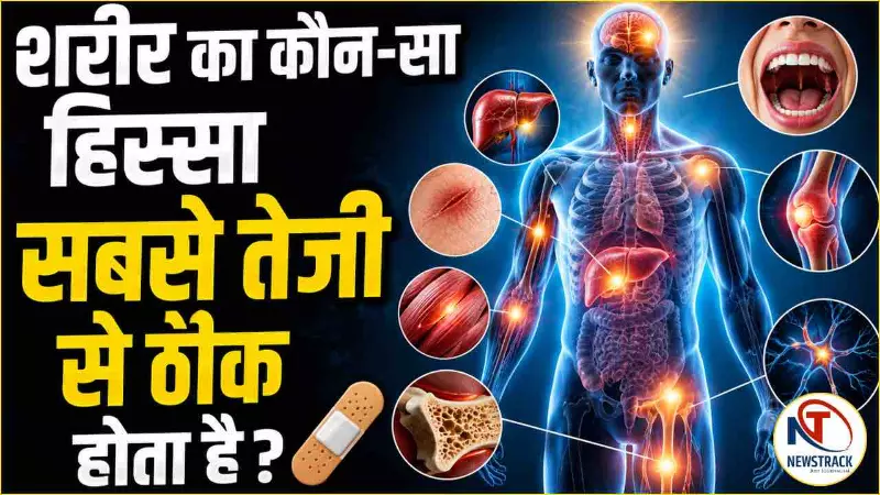 Body Healing Science Explained