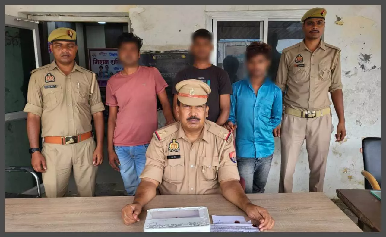 Three vehicle thieves arrested, stolen bikes and illegal weapons recovered