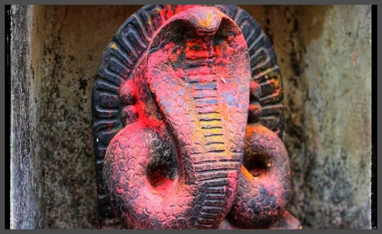 Nag Panchami: Nag is a god in our culture Nag Panchami: Nag is a god in our culture