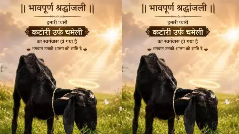 बकरी की मौत पर किसान ने कराई तेहरवीं, गंगा में विसर्जित की अस्थियां, 600 लोगों को खिलाया भोज