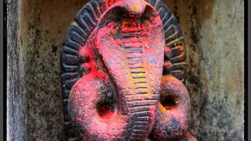 Nag Panchami: Nag is a god in our culture Nag Panchami: Nag is a god in our culture