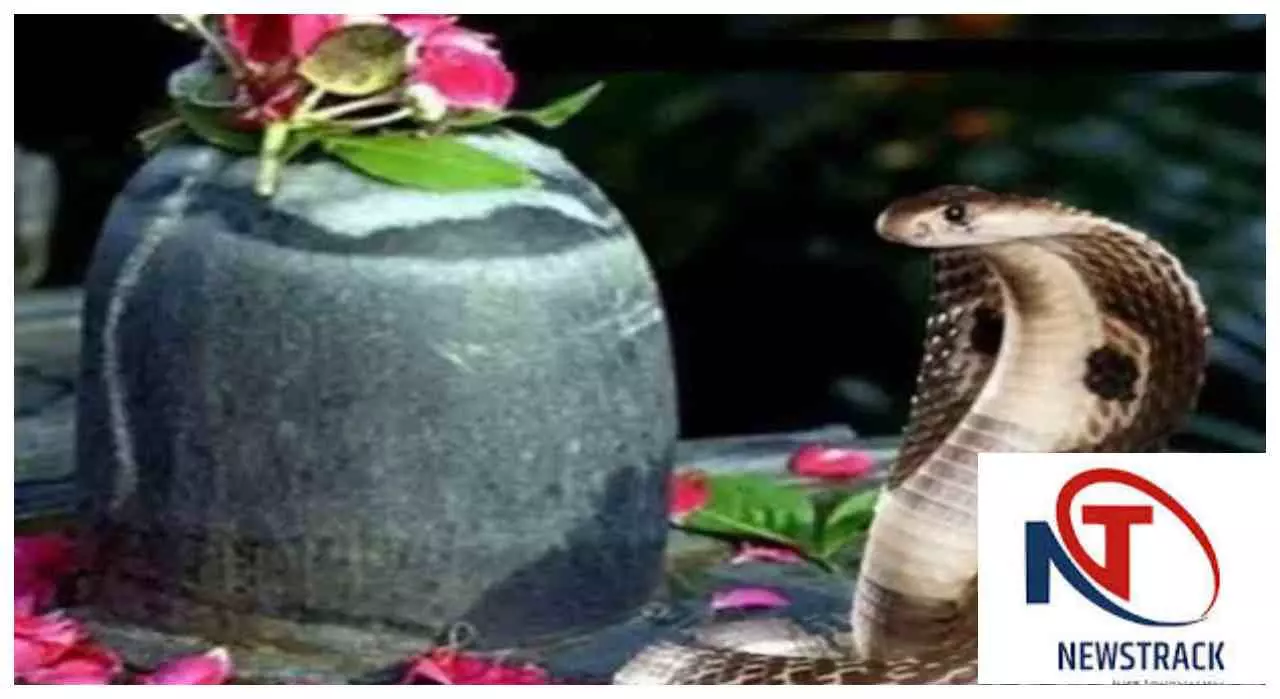 Nag Panchami Special: नाग पंचमी का गूढ़ रहस्य: शिव के गले से खेतों तक, क्यों पूजे जाते हैं नाग?
