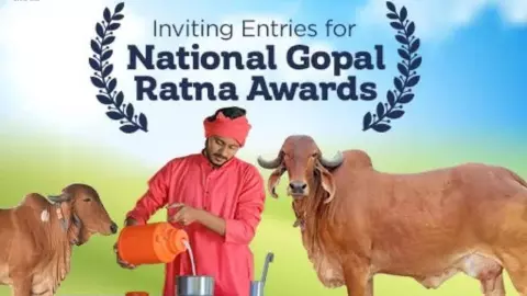 Gopal Ratna Award 2026: Dairy Farmers Can Win ₹5 Lakh, Check Eligibility and Apply Gopal Ratna Award 2026: Dairy Farmers Can Win ₹5 Lakh, Check Eligibility and Apply