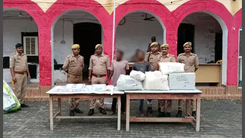 Injured, 1 arrested, 2 absconded in encounter