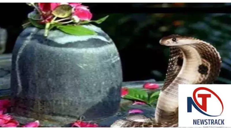Nag Panchami Special: नाग पंचमी का गूढ़ रहस्य: शिव के गले से खेतों तक, क्यों पूजे जाते हैं नाग? Nag Panchami Special: नाग पंचमी का गूढ़ रहस्य: शिव के गले से खेतों तक, क्यों पूजे जाते हैं नाग?