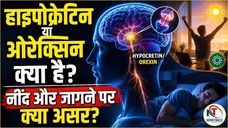 Hypocretin Kya Hai Hypocretin Kya Hai