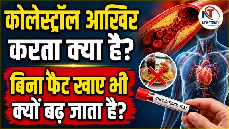 Cholesterol Function Explained in Hindi Cholesterol Function Explained in Hindi