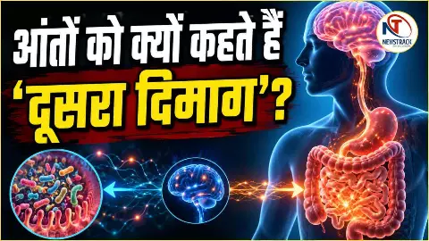 Gut Brain Connection Gut Brain Connection