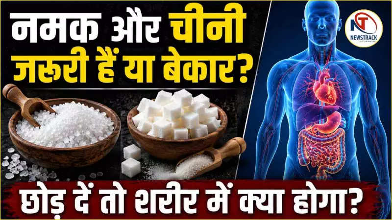 Namak-Chini Ke Fayde Nuksan Namak-Chini Ke Fayde Nuksan