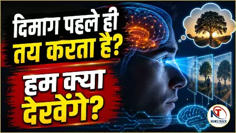 brain predictive coding