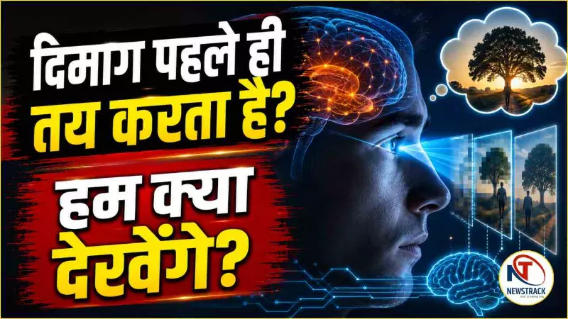 brain predictive coding