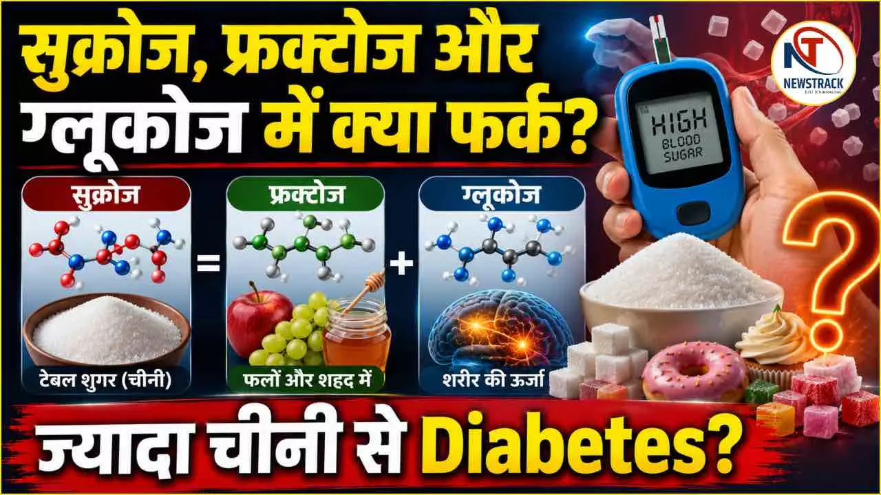 Sucrose Fructose and Glucose Explained in Hindi Sucrose Fructose and Glucose Explained in Hindi